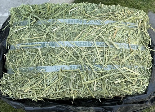 อัลสุพรีม  อัลฟัลฟ่าเกรดพรีเมี่ยม 